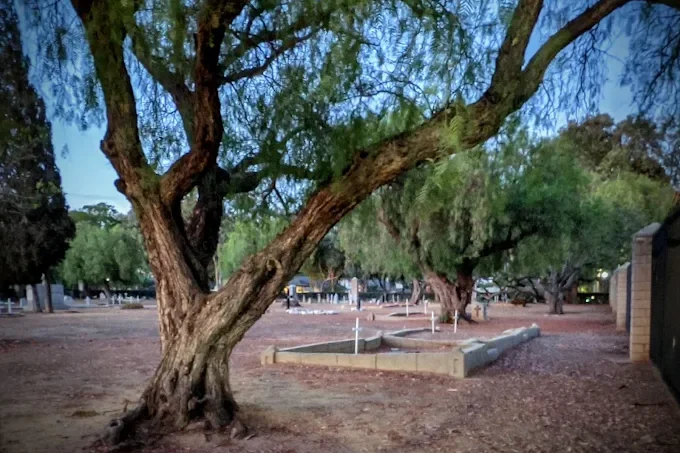 Historic Yorba Cemetery, Yorba Linda: The Mystery of the Pink Lady